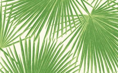 How to Master Designer Wallpaper in 2026