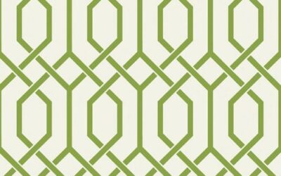 10 Best Designer Wallpaper Tips for Beginners